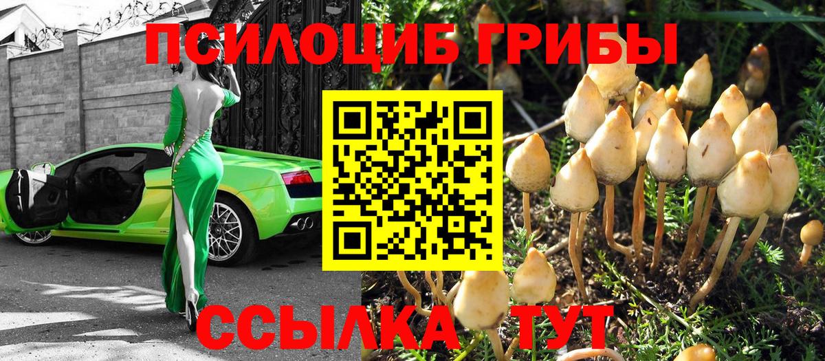 Галлюциногенные грибы GOLDEN TEACHER Благодарный