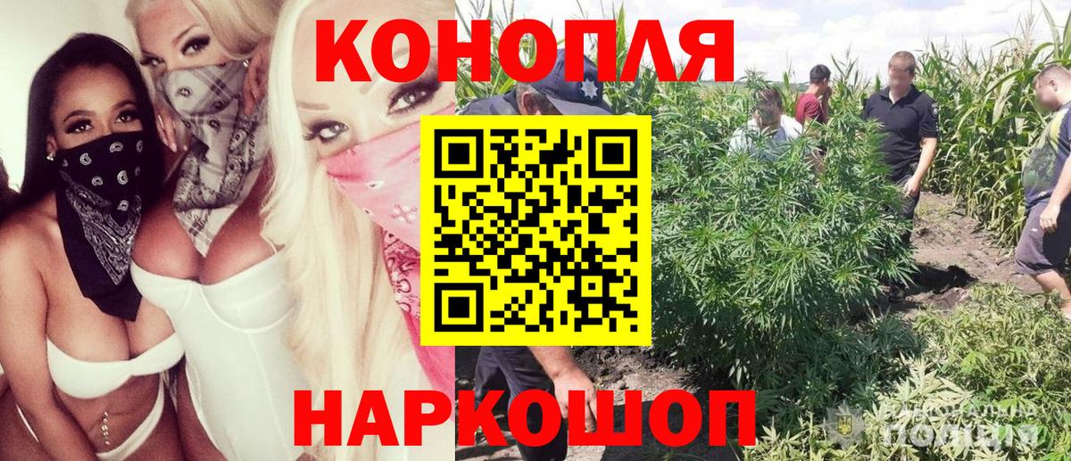 Благодарный  Конопля гибрид  Конопля Ganja  МАРИХУАНА индика  Вход с VPN 